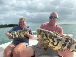 4 Hr Goliath Grouper
