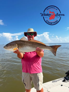 Louisiana Speckled Trout Adventure