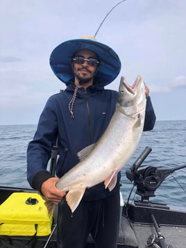 6-Hour Lake Michigan Salmon Fishing