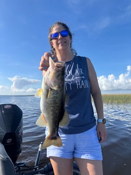 Rich Fishing