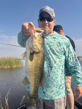 Rich Fishing