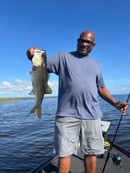 Rich Fishing