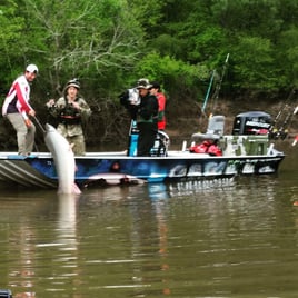 South Texas Alligator Gar Fishing