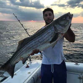 Night Bluefish/Bass Trips