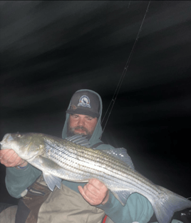 Night Bluefish/Bass Trips