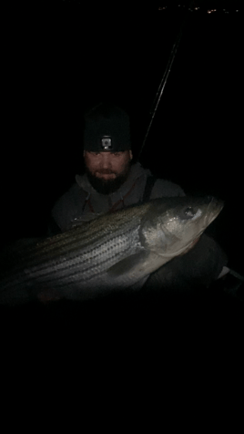Night Bluefish/Bass Trips