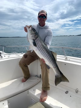 5-8 Hr Boston Harbor - Striper/Blue