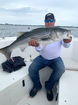 5-8 Hr Boston Harbor - Striper/Blue