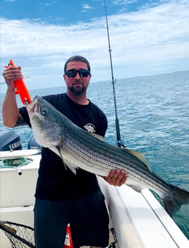 5-8 Hr Boston Harbor - Striper/Blue