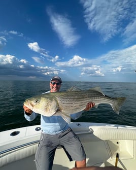 5-8 Hr Boston Harbor - Striper/Blue