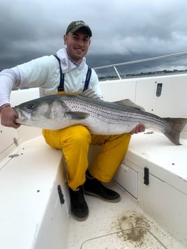 5-8 Hr Boston Harbor - Striper/Blue