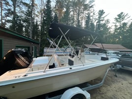 Guided Boat Trips