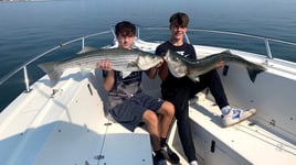 8 Hour-Spring Cape Cod Combo Trip