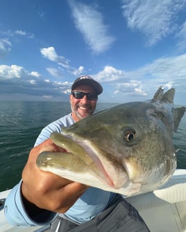 8 Hour-Spring Cape Cod Combo Trip