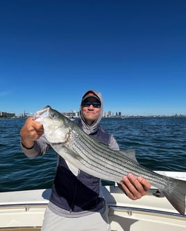 8 Hour-Spring Cape Cod Combo Trip