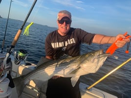 8 Hour-Spring Cape Cod Combo Trip