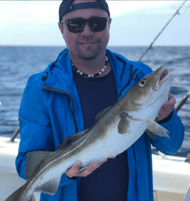 8 Hour-Spring Cape Cod Combo Trip