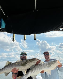 8 Hour-Spring Cape Cod Combo Trip
