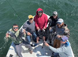 8 Hour-Spring Cape Cod Combo Trip
