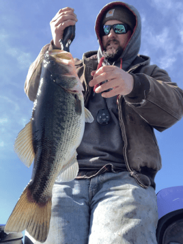 Bass Fishing Trip