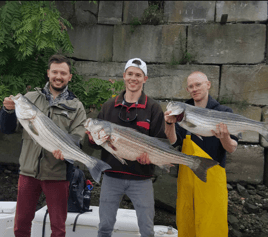 4-6 Hour Fishing Trip