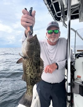 Offshore Gulf Shores Good Rate