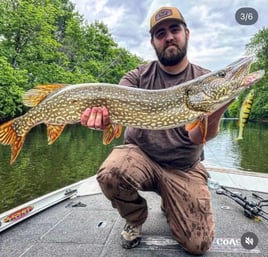 Bass Fishing Trips