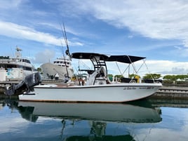 Reef Spearfishing Quepos