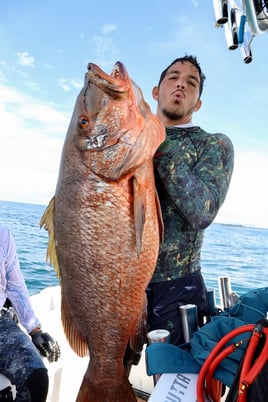 Half Day Reef Spearfishing