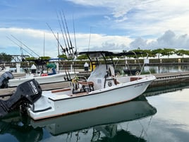 Reef Spearfishing Quepos