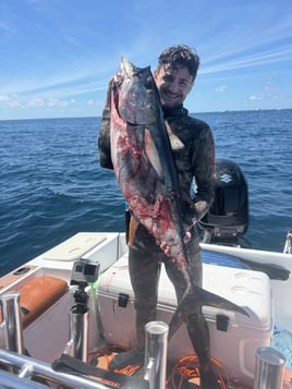 Blue Water Spearfishing Quepos