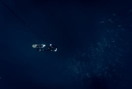 Blue Water Spearfishing Quepos