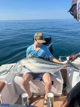 Budget Inshore Fishing