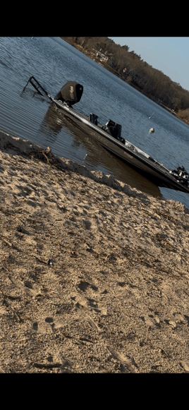 Massachusetts Guided Bass Trips