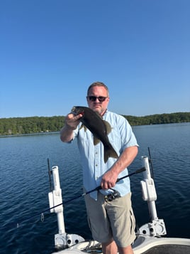 Massachusetts Guided Bass Trips