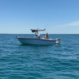 Nearshore Reefs 23'