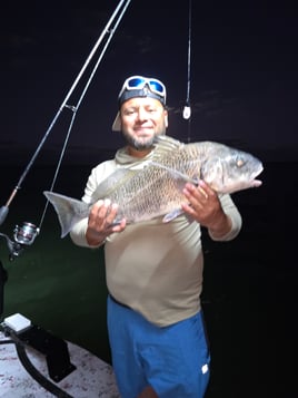 Fish On The Hook
