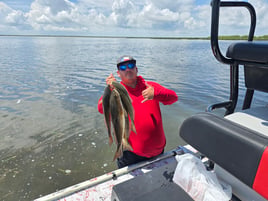 Fish On The Hook