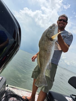 Fish On The Hook