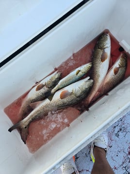 Fish On The Hook