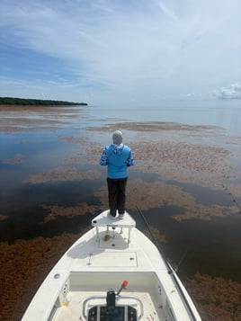 Half Day Trip – Flats Fishing