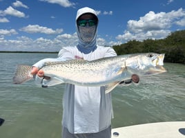 Half Day Trip – Flats Fishing