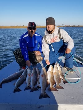 1/2 Day Bay Trip