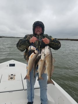 1/2 Day Bay Trip