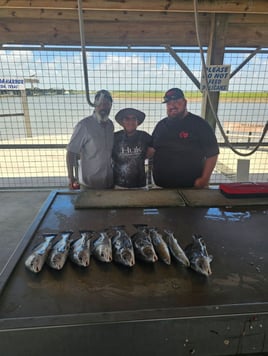 1/2 Day Bay Trip