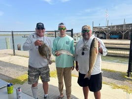 1/2 Day Bay Trip
