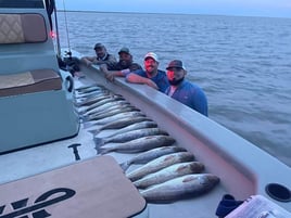 1/2 Day Bay Trip