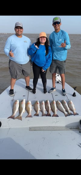 1/2 Day Bay Trip