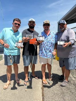 1/2 Day Bay Trip
