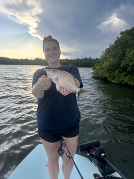 Everglades Fishing